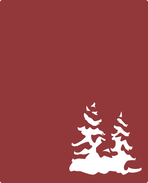 Competera’s predictive models helped Balsam Brands to generate a 3.4% gross margin uptick and manage inventory sellout during the holiday season 2020 more effectively